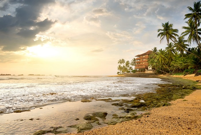 Beach resort with palm trees and ocean at sunset in Sri Lanka