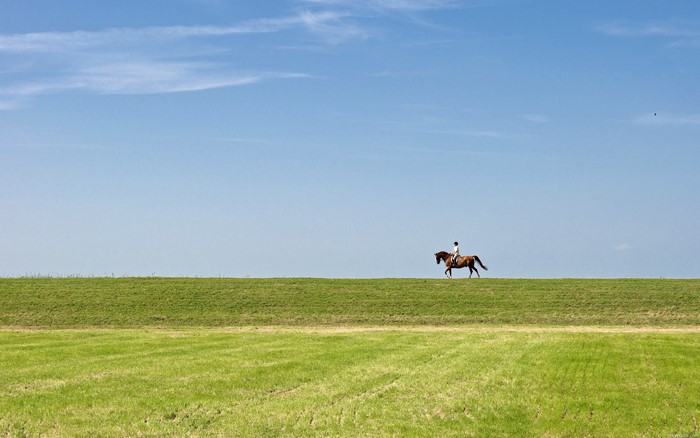 Person riding a horse on a grassy field under blue sky