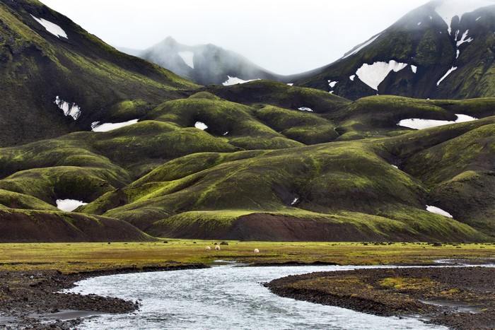 Mossy Mountains and Stream in Iceland