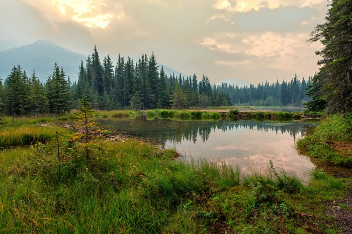 Horseshoe Lake in Denali National Park, Alaska