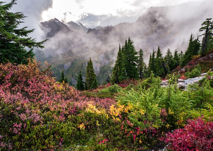 Mountains shrouded in fog with autumn foliage