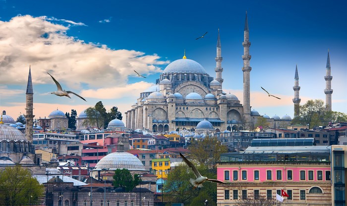 Suleymaniye Mosque and cityscape in Istanbul, Turkey with seagulls