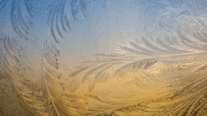 Frost patterns on glass