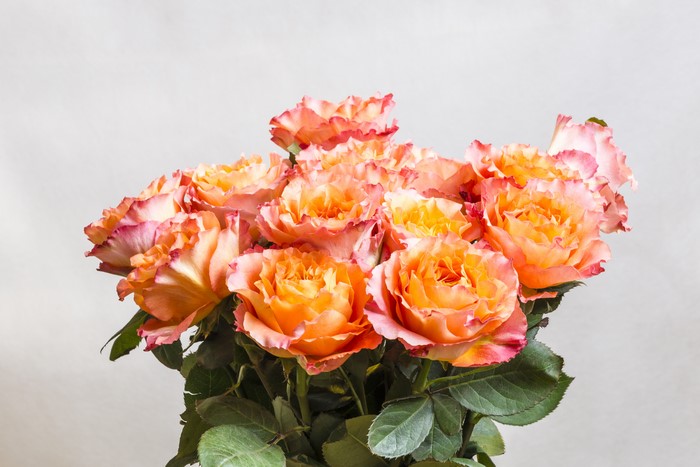 Bouquet of Orange and Pink Roses