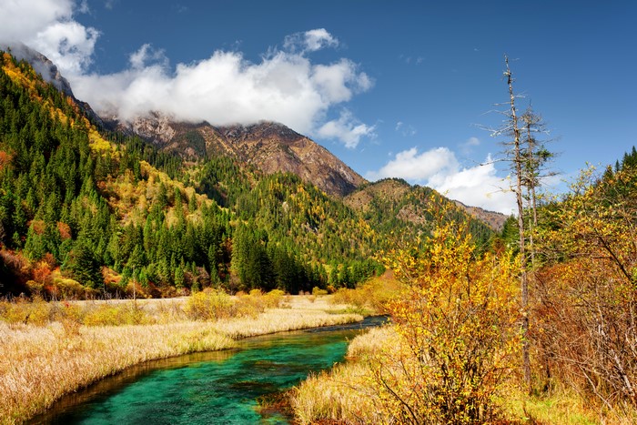 Autumn Scenery of Jiuzhaigou Park, China