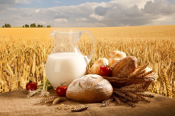 Bread, Milk, and Tomatoes in a Wheat Field