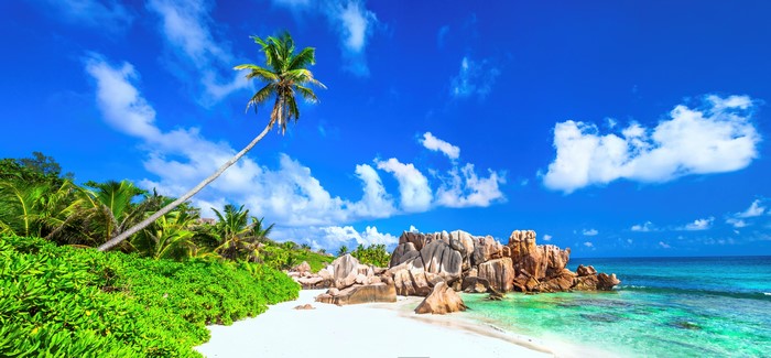 Tropical Beach with Clear Sky and Ocean 4K