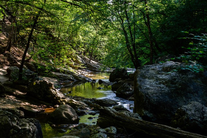 Stream flowing through a rocky forest in Crimea, Russia