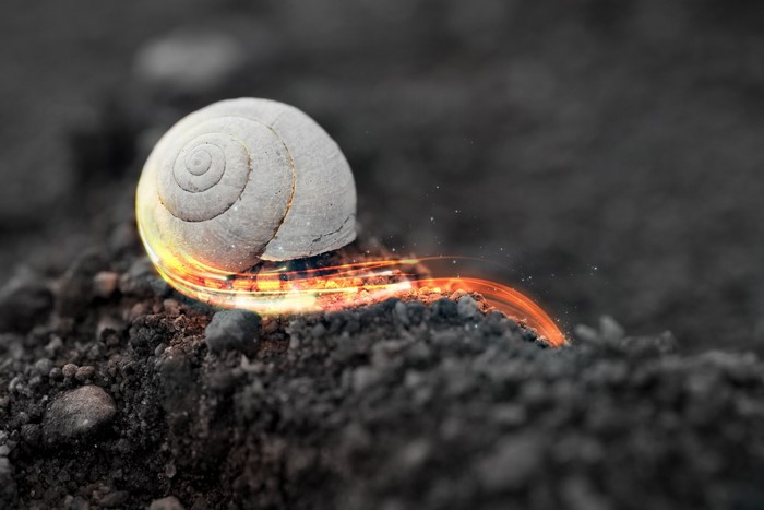 Snail shell with glowing motion trail on soil