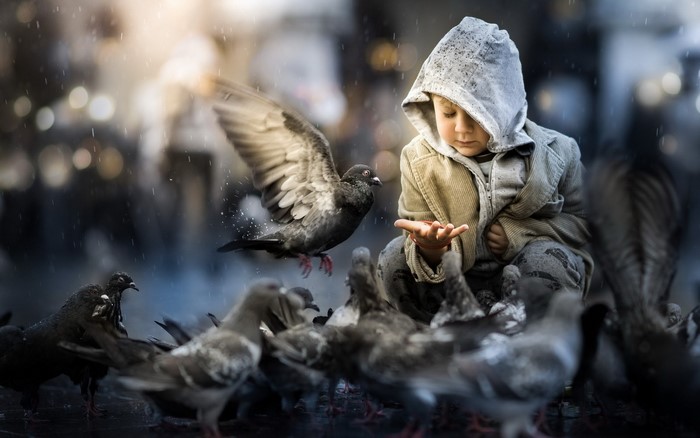Boy in hooded jacket feeding pigeons in the rain