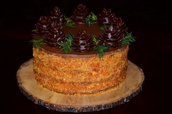 Chocolate cake with pine cone decorations