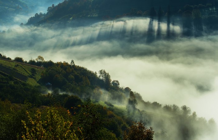 Misty Mountains and Forests in Ukraine