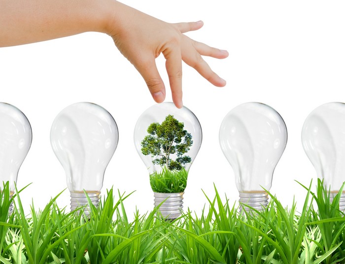 Hand reaching for a light bulb with a tree inside