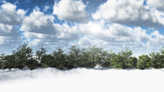 Winter landscape with snow and pine trees