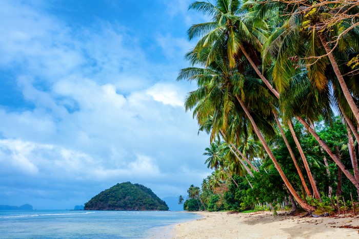 Tropical Beach with Palm Trees and Island