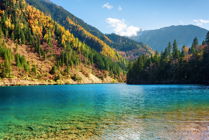 Autumn Scenery of Jiuzhaigou Park Lake in China