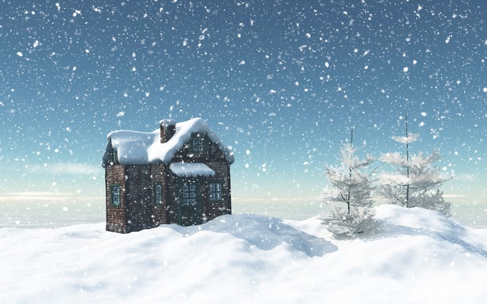 Winter house and trees in snowfall