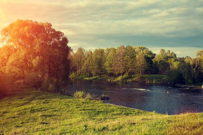 River flowing through a forest with sunlit trees