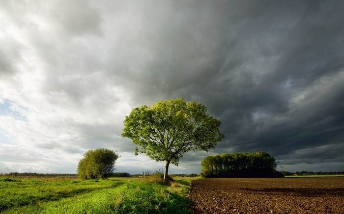 Stormy sky over a field with trees
