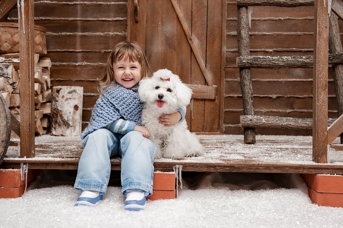Little girl smiling with a Bolognese dog in winter