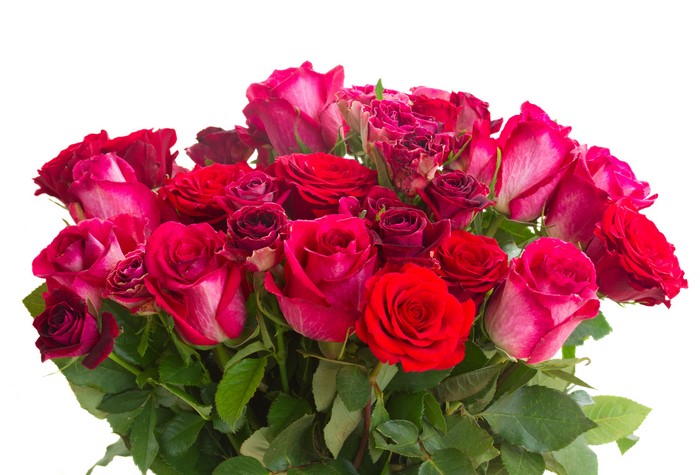 Bouquets of Red and Pink Roses on White Background