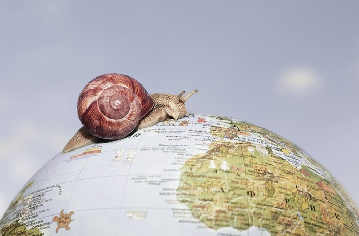 Snail on a Globe