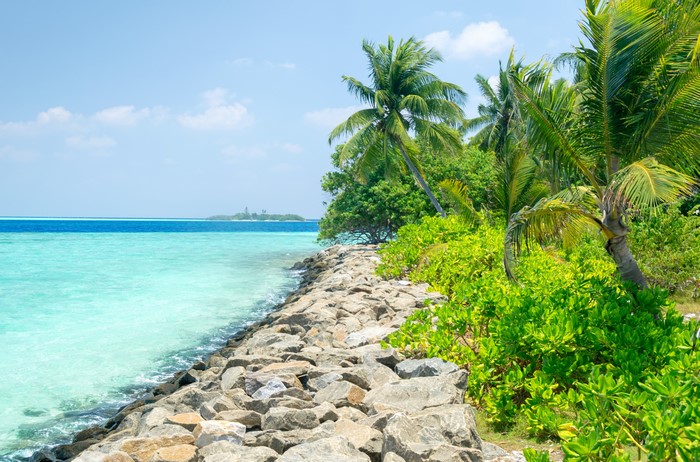 Maldives Coastline with Palm Trees and Rocky Shore