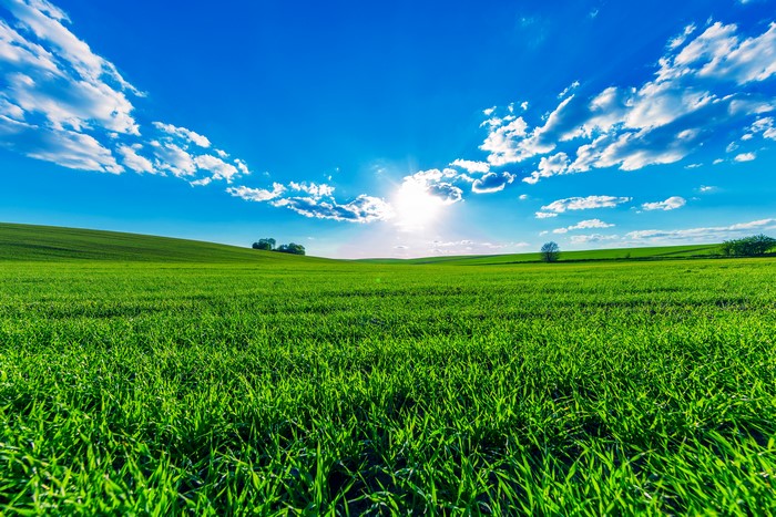 Green fields under a bright blue sky with clouds