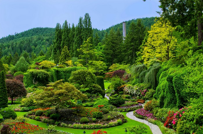 Butchart Gardens Victoria Canada Lawn Shrubs Trees