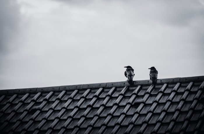 Two Crows on a Tiled Roof