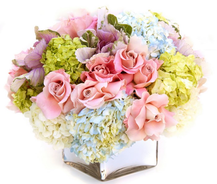 Pink roses and hydrangeas in a square vase