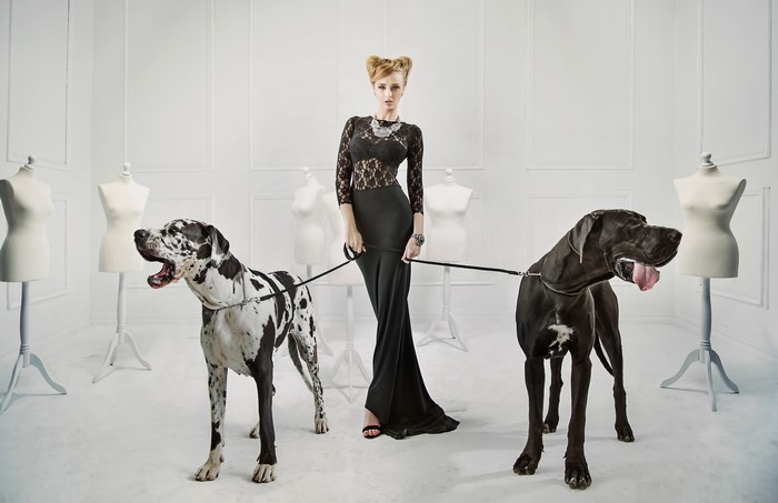 Woman in black dress with two Great Danes