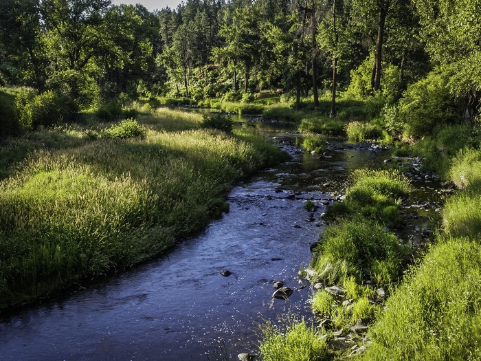 Palouse River in Washington, USA