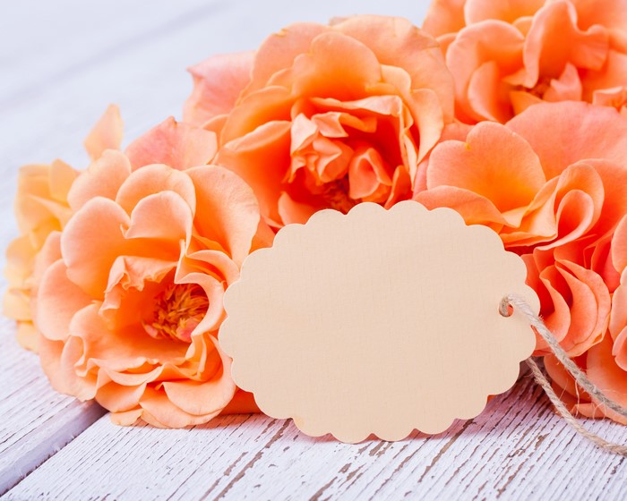 Orange roses with a blank tag