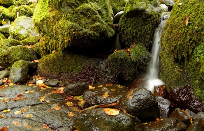 Mossy Stones and Waterfall