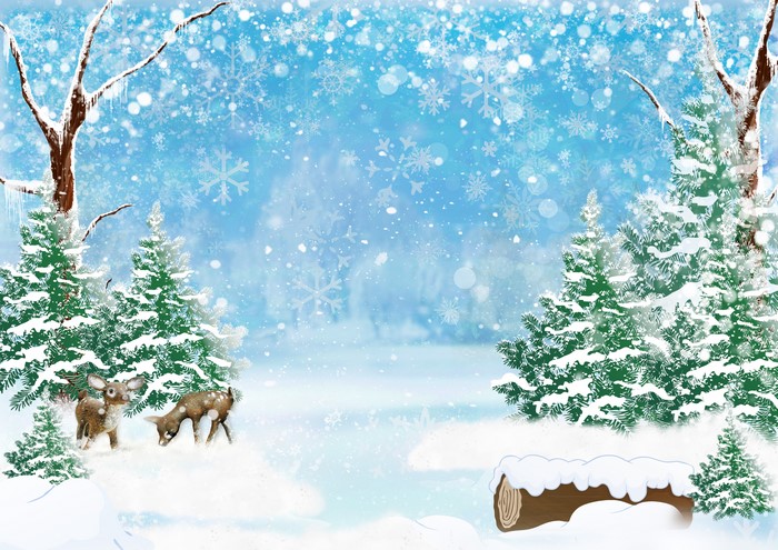 Winter forest scene with deer and snow