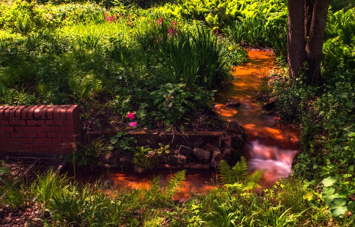 Stream flowing through Romberg Park in Dortmund, Germany