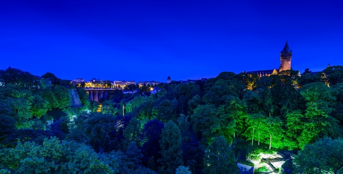 Luxembourg cityscape with illuminated trees at night