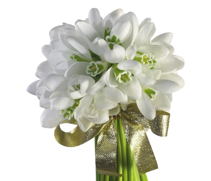 Bouquet of white snowdrops with a gold bow