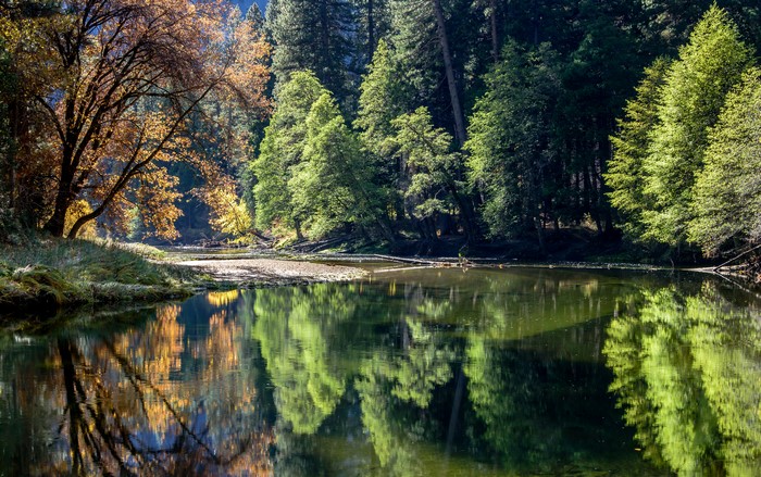 Yosemite National Park Lake with Autumn Trees Reflection