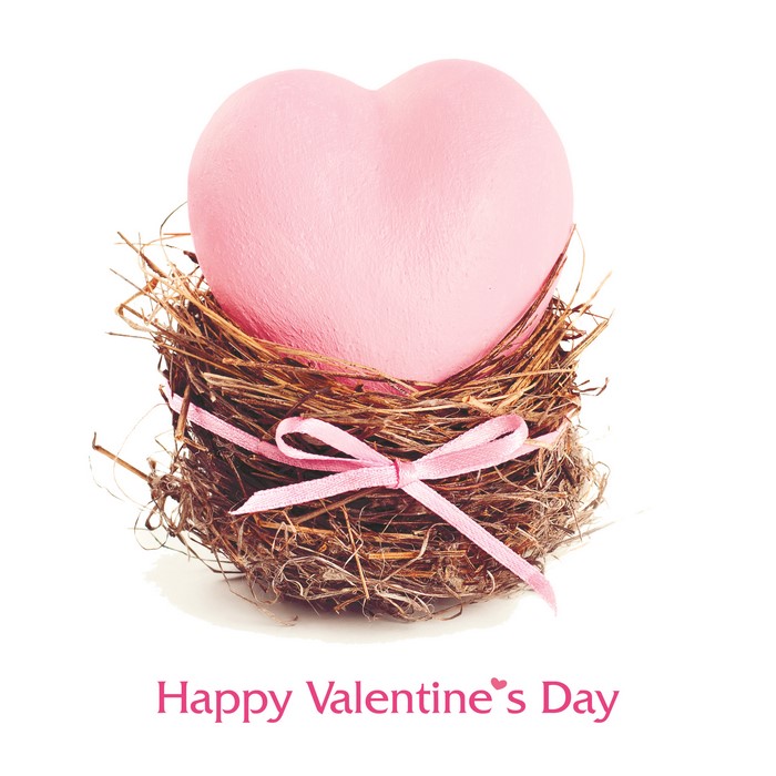 Pink heart in a nest with "Happy Valentine's Day" text