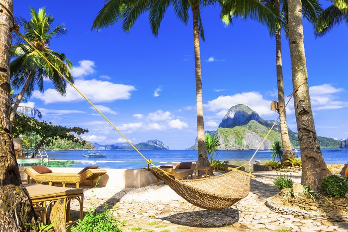 Tropical beach with palm trees and hammock