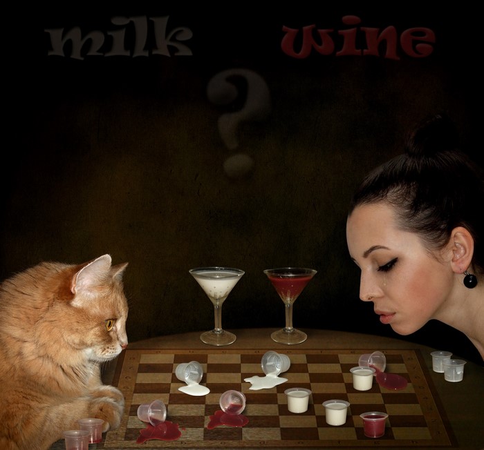 Cat and woman playing chess with milk and wine