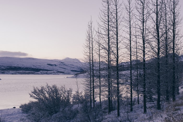 Winter landscape with snow-covered mountains and trees
