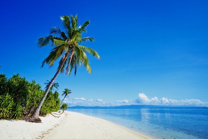 Tropical beach with palm trees and clear blue sea