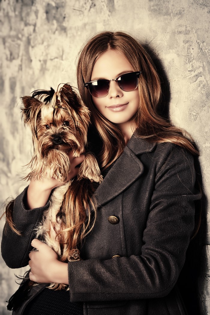 Girl in sunglasses holding a Yorkshire terrier