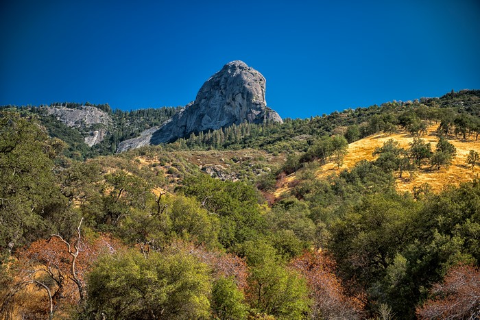 Sequoia and Kings National Park Crag and Trees