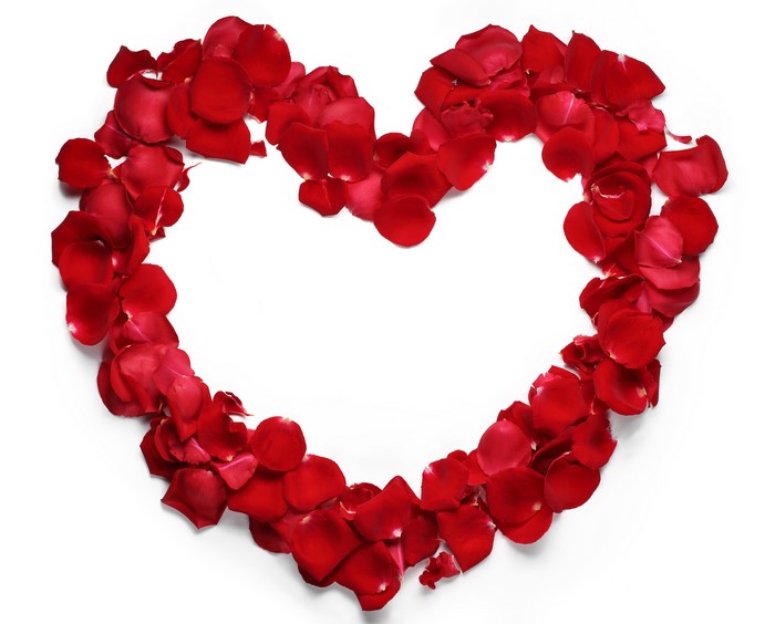 Red Rose Petals in a Heart Shape on White Background
