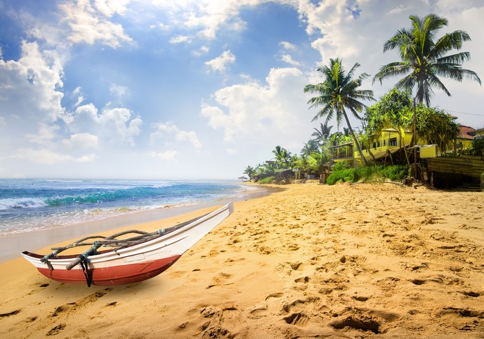 4K Tropical Beach with Boat and Palm Trees