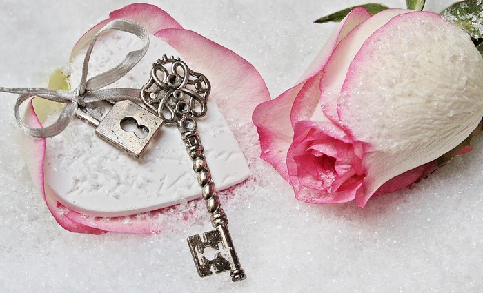 Valentine's Day rose with key and lock on snow